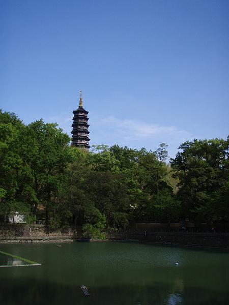 P5182508.JPG