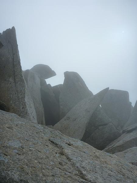 P1000729.JPG